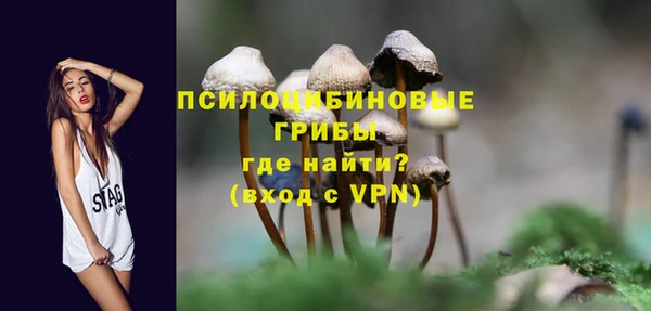 PSILOCYBIN Баксан